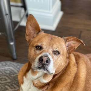 Meet your Posher, Tammy